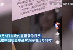 燕窝爆料新闻视频下载,燕窝爆料新闻视频深度解析