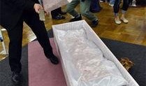 展销会新闻爆料热线电话,展销会新闻爆料热线电话助力信息速递