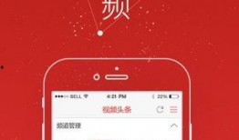 头条爆料蝴蝶鱼视频,大自然的神奇魅力