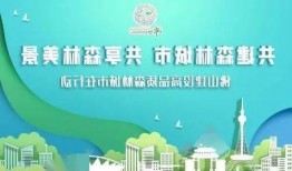 佛山爆料新闻最新消息,突发事件引发社会关注