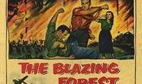 forest在线观看,Forest在线观看体验分享