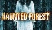 forest在线观看,Forest在线观看体验分享