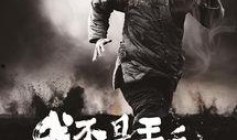 我不是王毛在线观看,揭秘网络热剧背后的真实人生